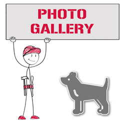 Photo gallery Photo gallery